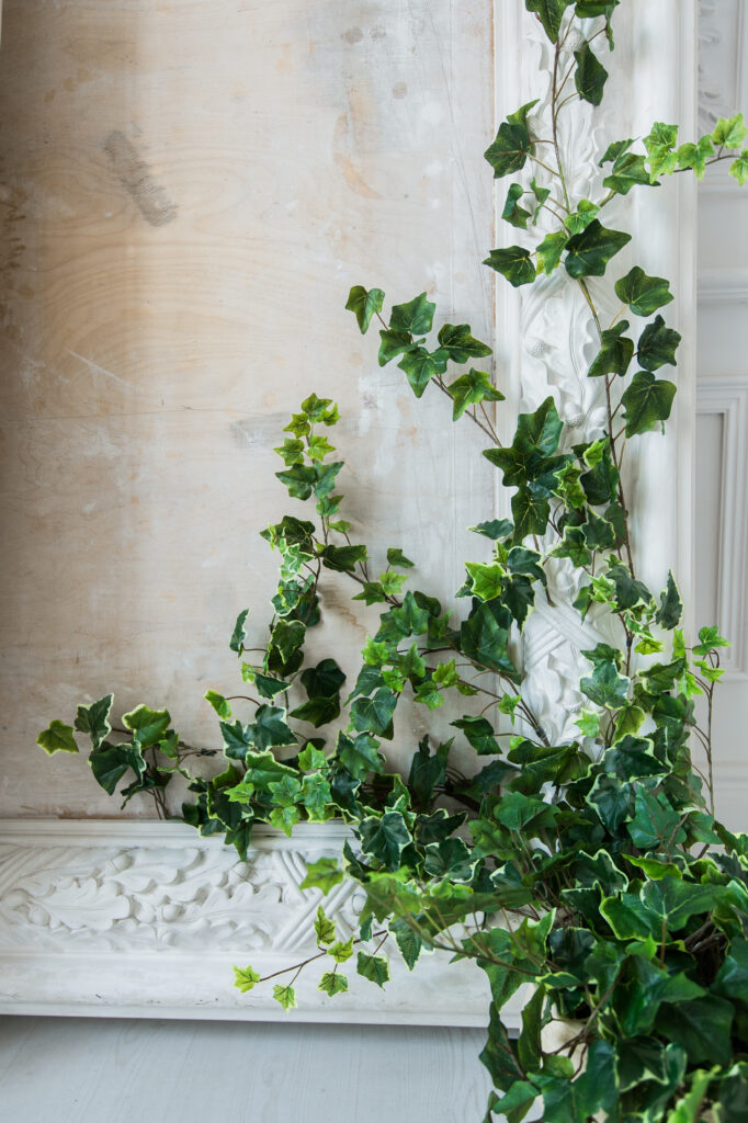 White art stucco gypsum wall with a grean loach branch on it.