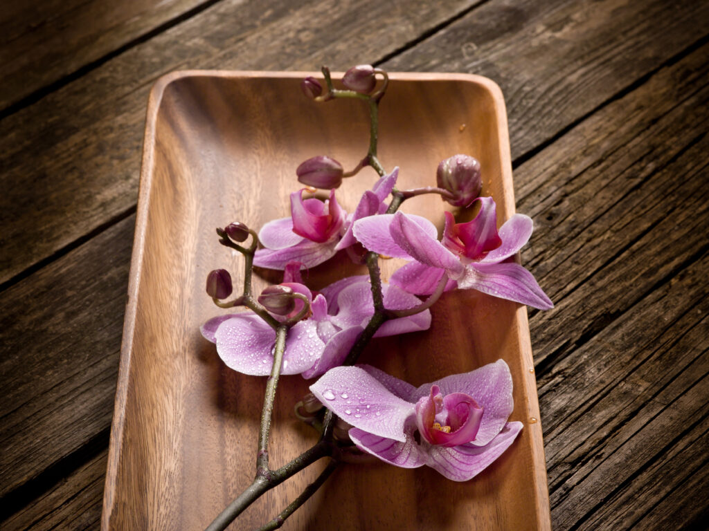 spa concept orchid over wood dish